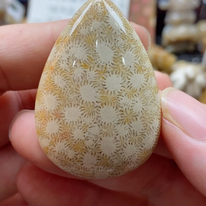 硅化珊瑚（珊瑚玉）颈饰未镶嵌