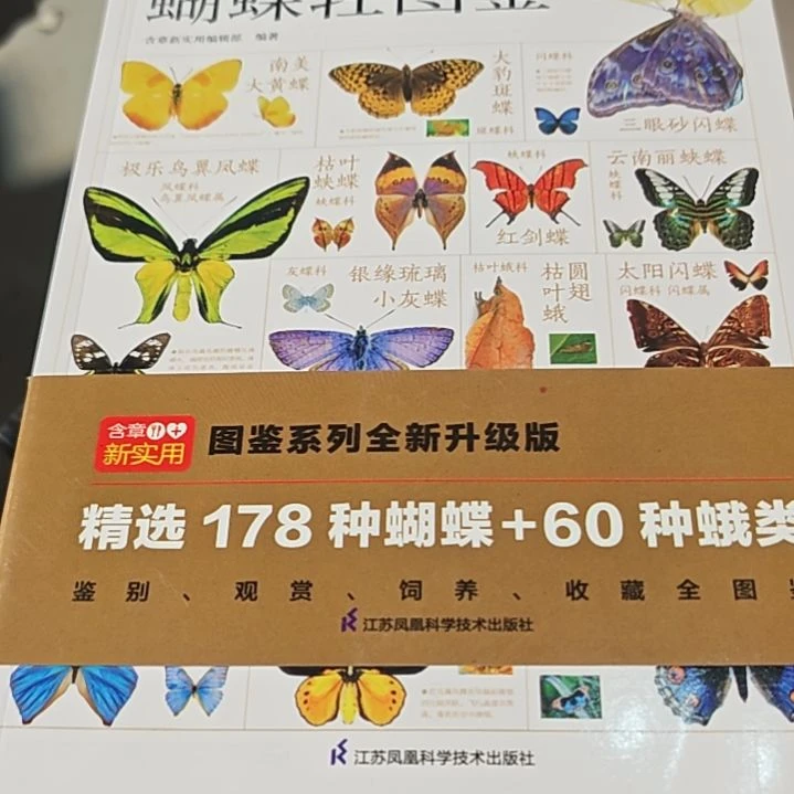 蝴蝶轻图鉴(务必塑封)