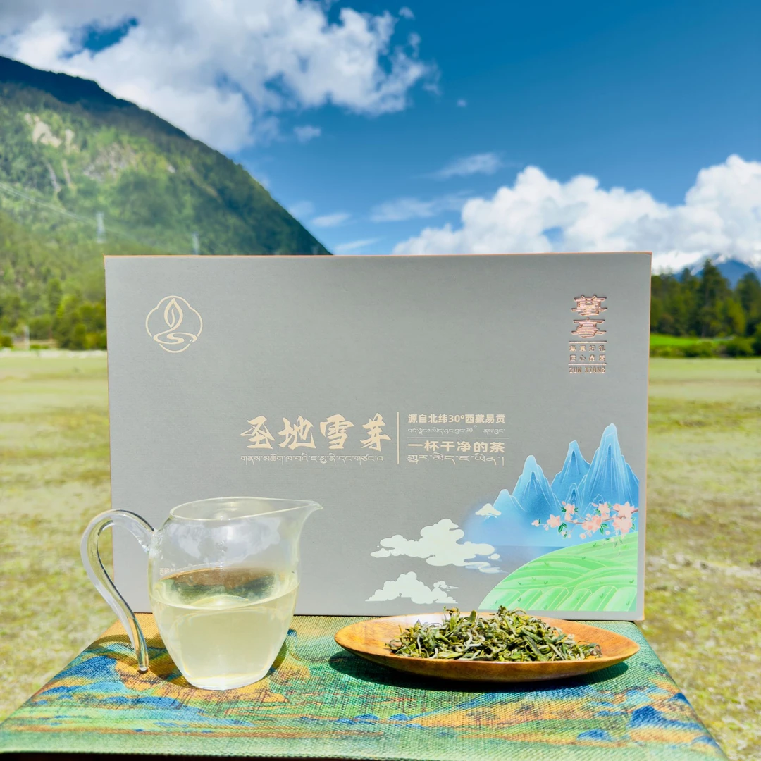 西藏林芝波密易贡尊享绿茶（圣地雪芽）高原绿茶
