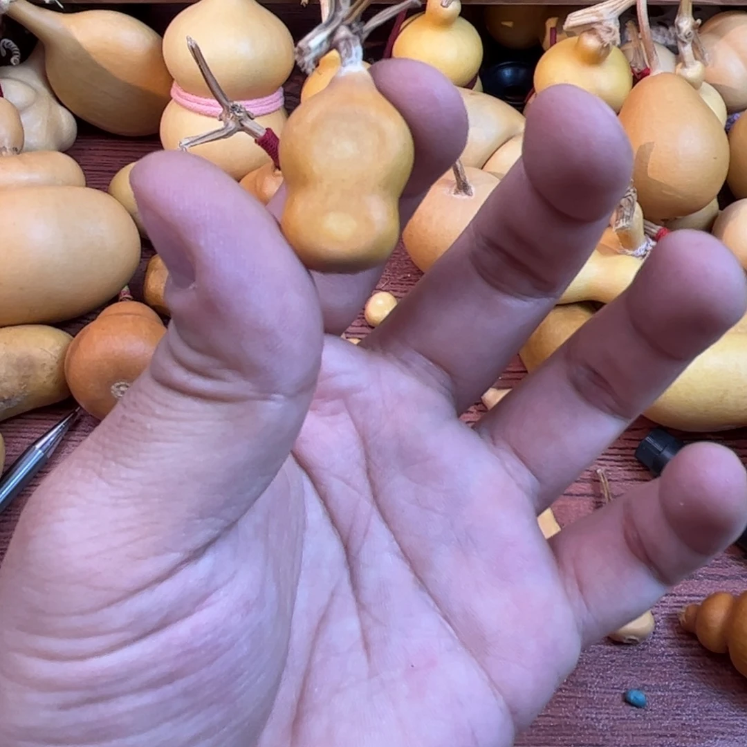 B****?葫芦岛市连山区！你的世界只有我们的