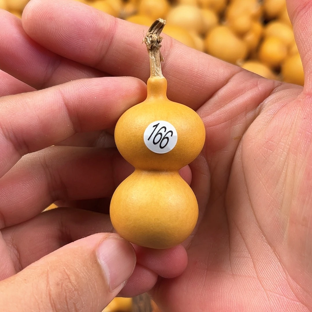 一葫芦葫芦葫芦葫芦166