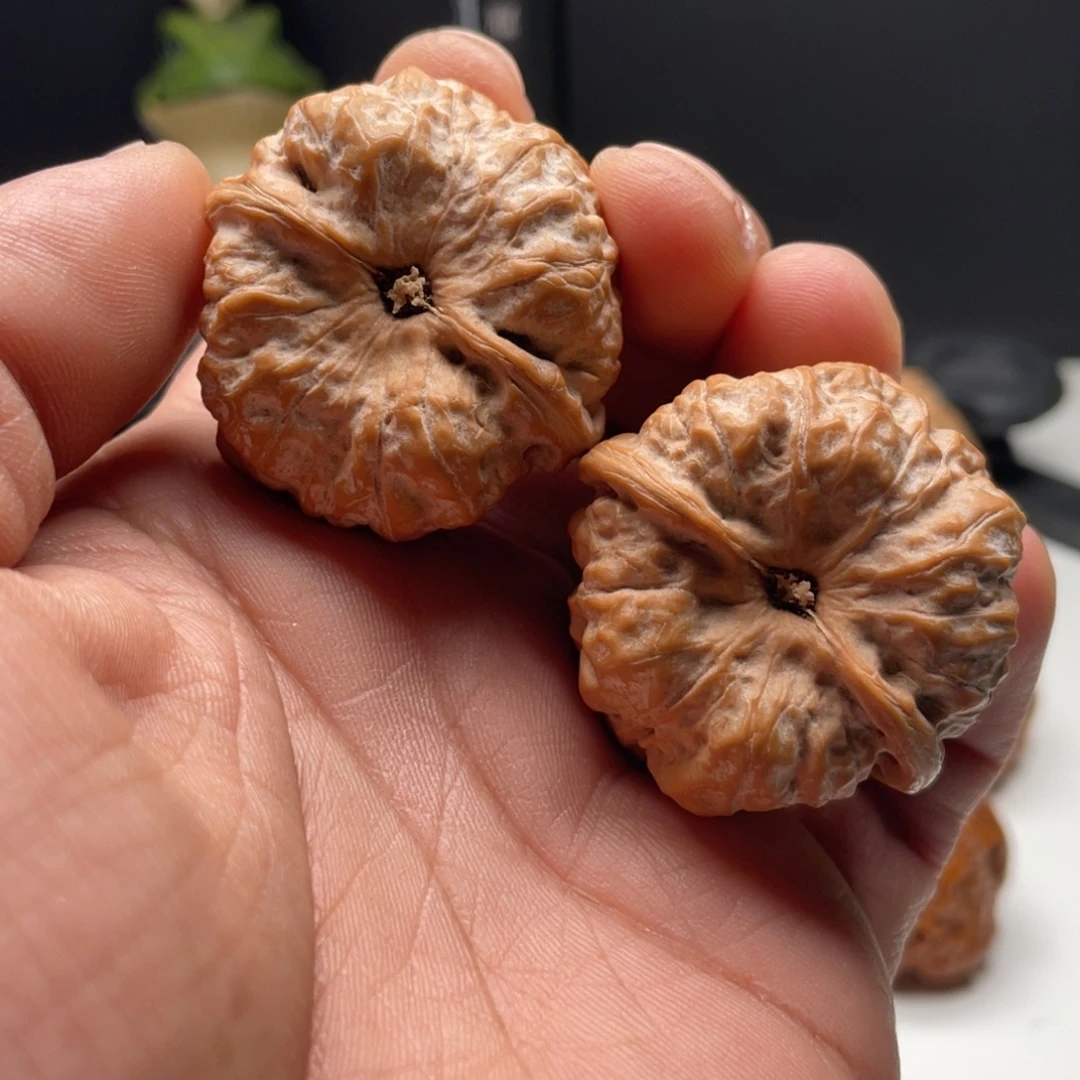 明***@核桃蛤蟆头核桃 40