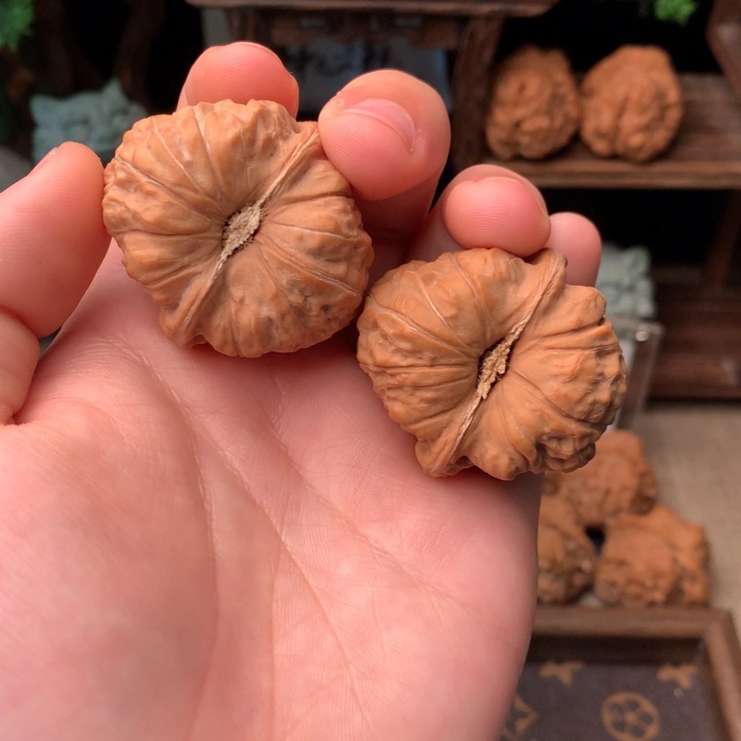 核桃41尺寸南瓜墩