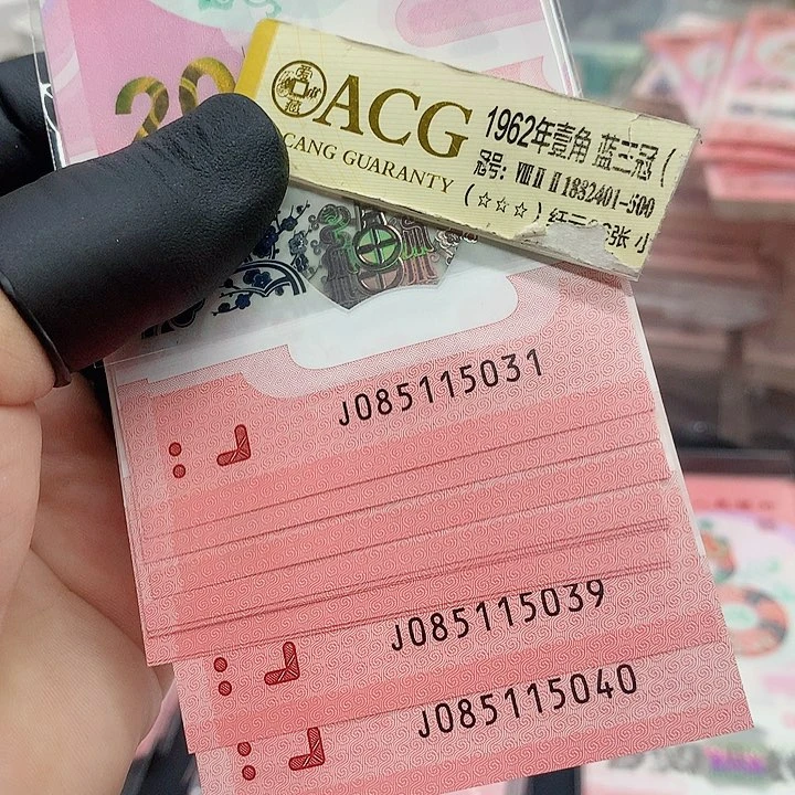 塑料蛇钞无47标十 5031一组全品