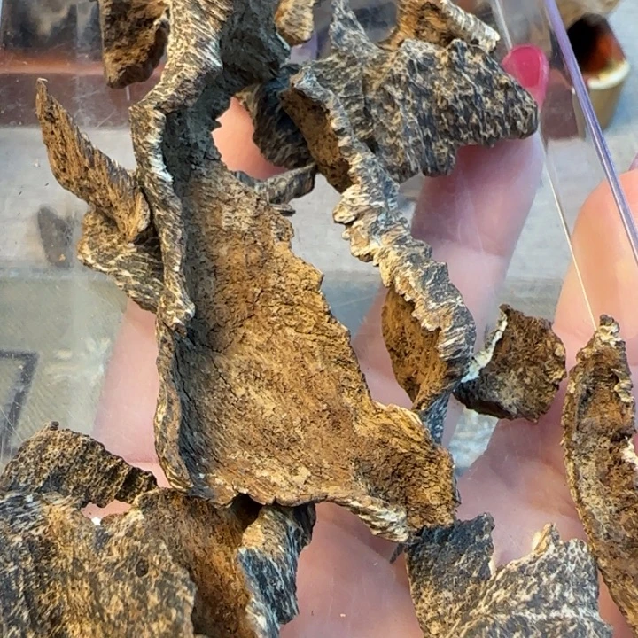 摆件沉香海南沉水野生虫漏18克