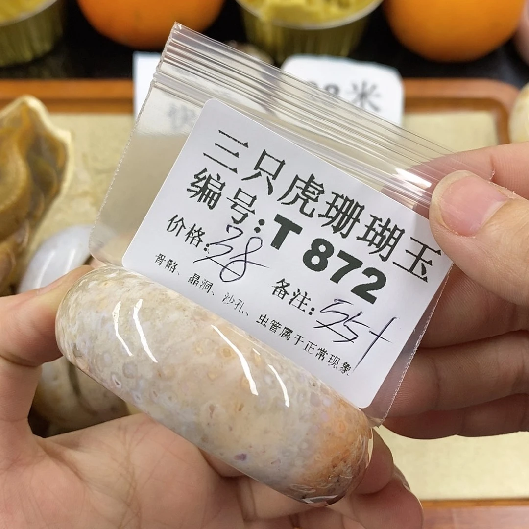 硅化珊瑚（珊瑚玉）1未镶嵌天***?
