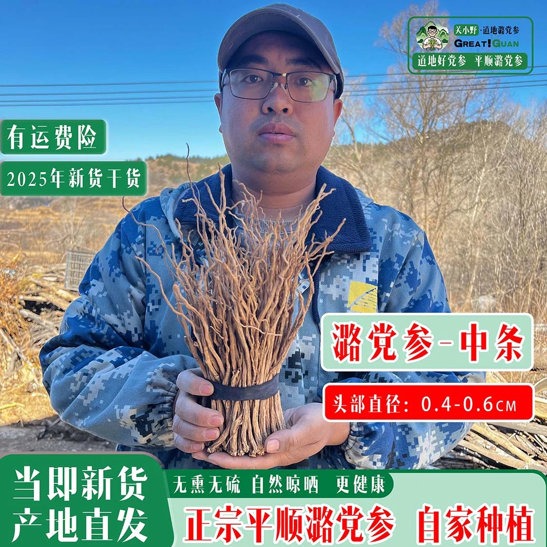 [中条当季干货]正宗平顺潞党参干货煲汤泡水煮茶滋补佳品京东包邮