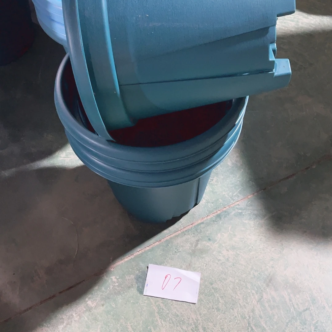 编号是07号的07号的
