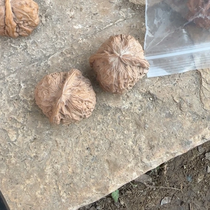 舍***&把件文玩核桃南瓜墩