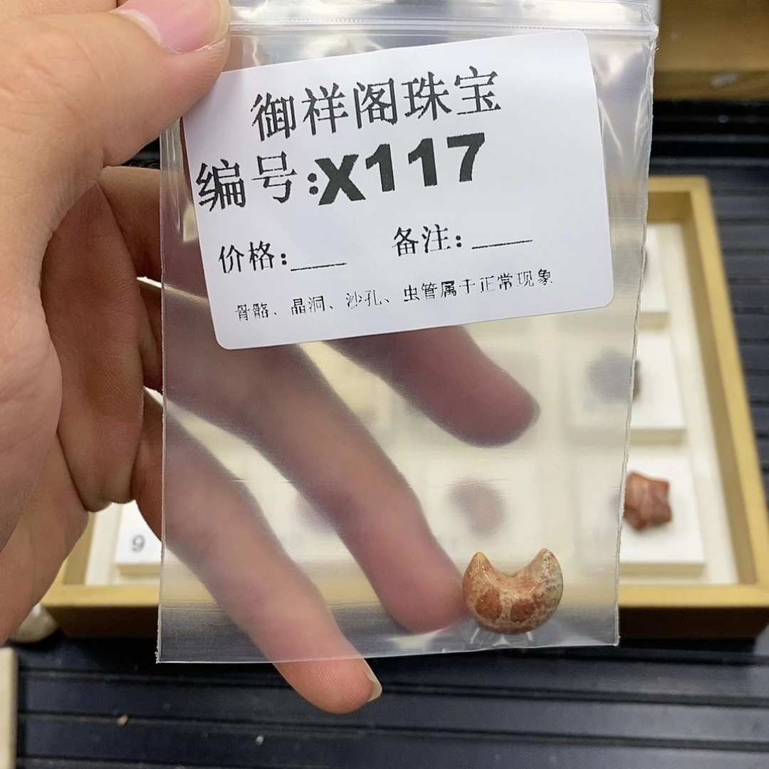 硅化珊瑚（珊瑚玉）未镶嵌颈饰美****～