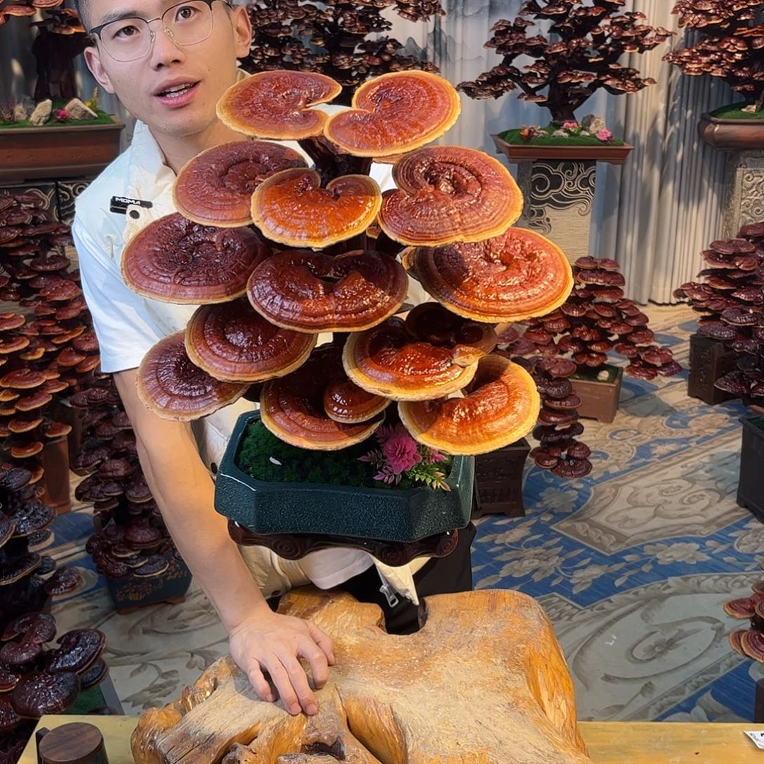 无花朵8888888888888