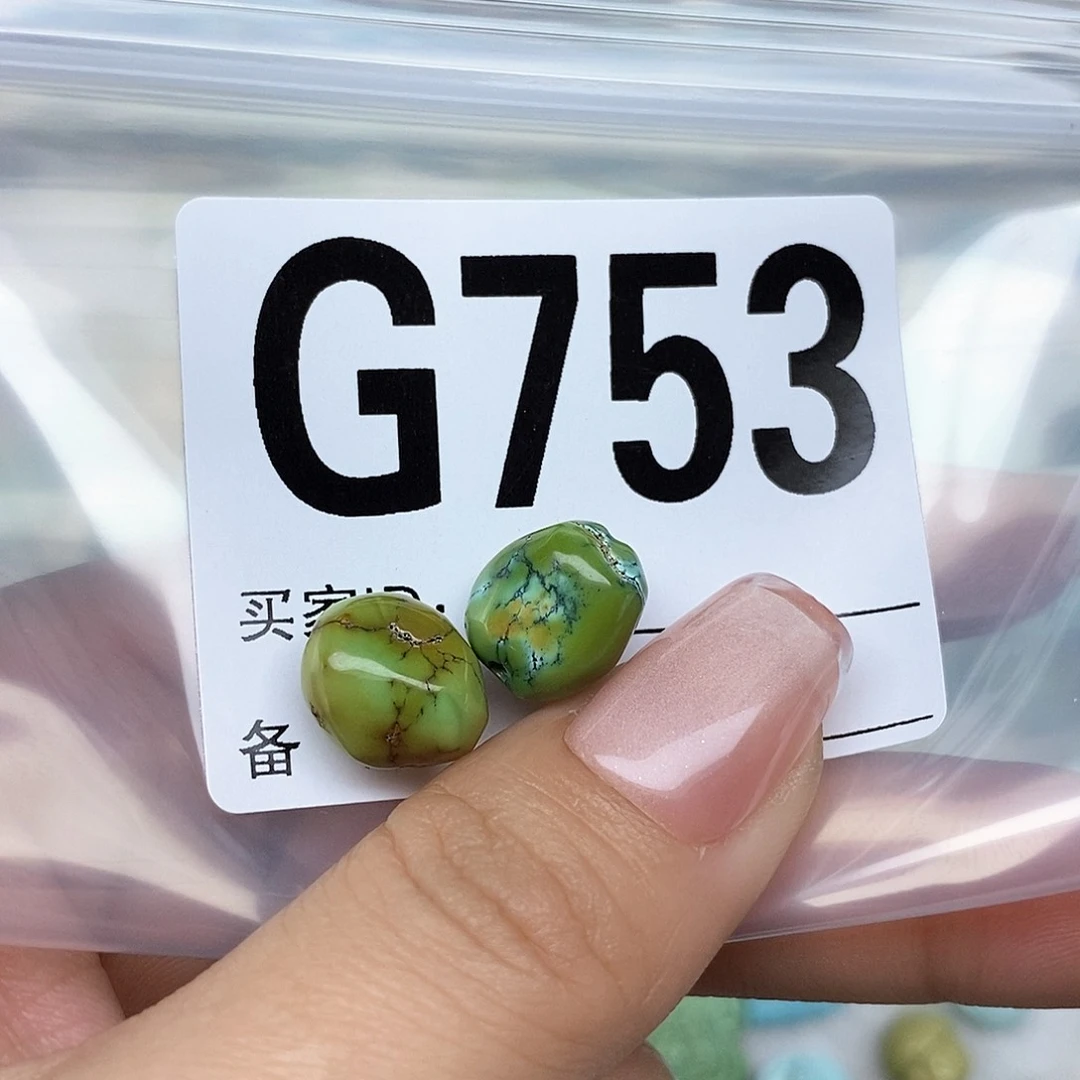 绿松石配饰未镶嵌贝*