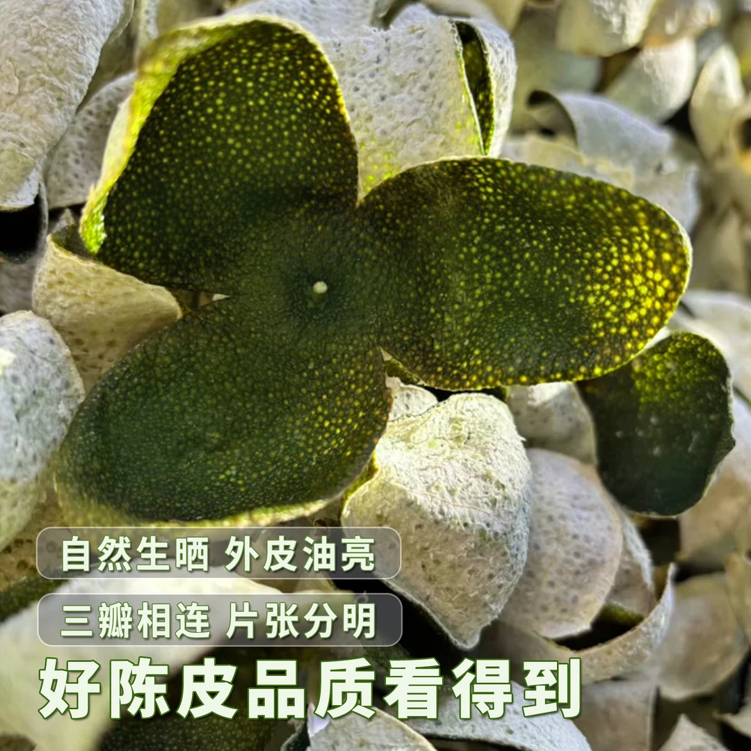 2025年陈皮青皮新会柑鲜果广东江门正宗天马圈枝茶枝柑泡水当年皮
