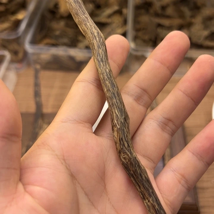 海南树心油老料5克
