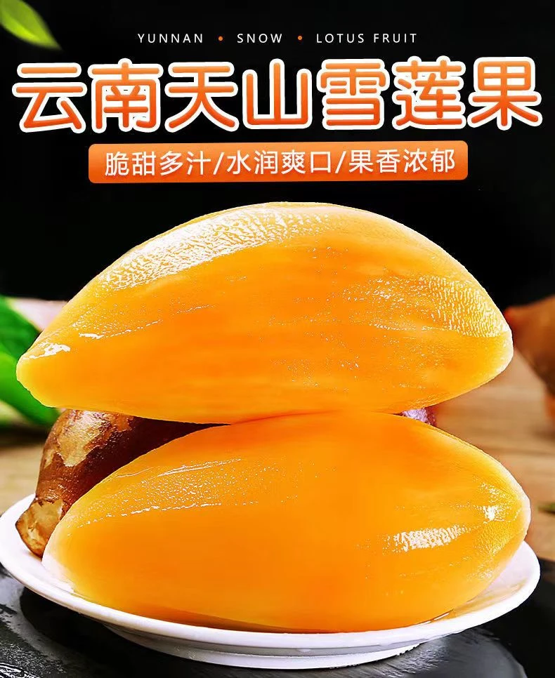 【顺丰包邮】正宗云南天山雪莲果新鲜当季孕妇水果黄心雪莲果脆甜