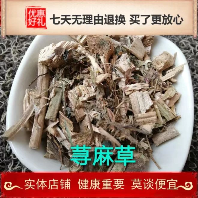 中药材精选正品荨麻草野生全棵寻麻叶新货蝎子草蜇人草咬人草苎麻