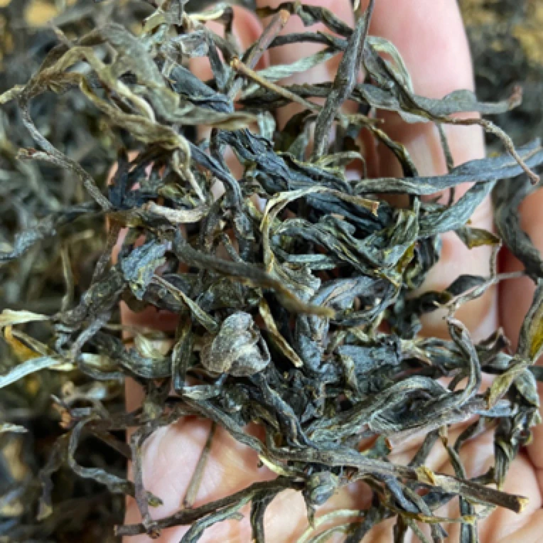 2025年 迷帝古树大单株 晒青茶