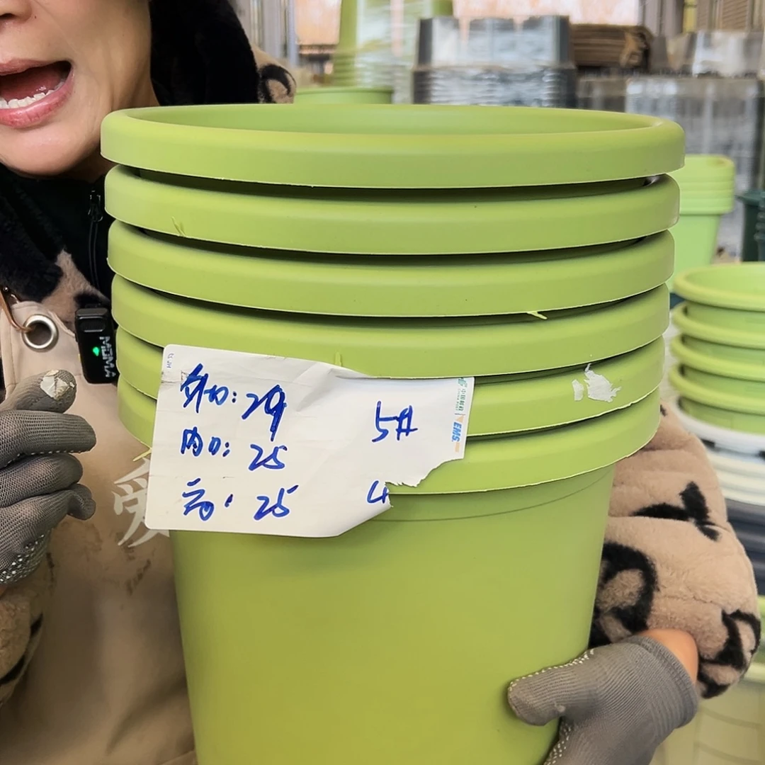 四季盆5#果绿色6个无托