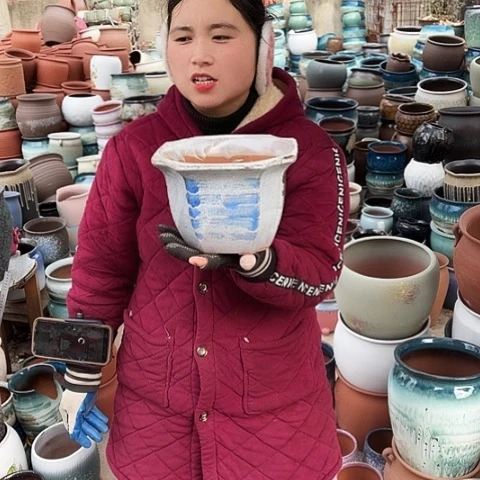 口21高15瑕疵盆子