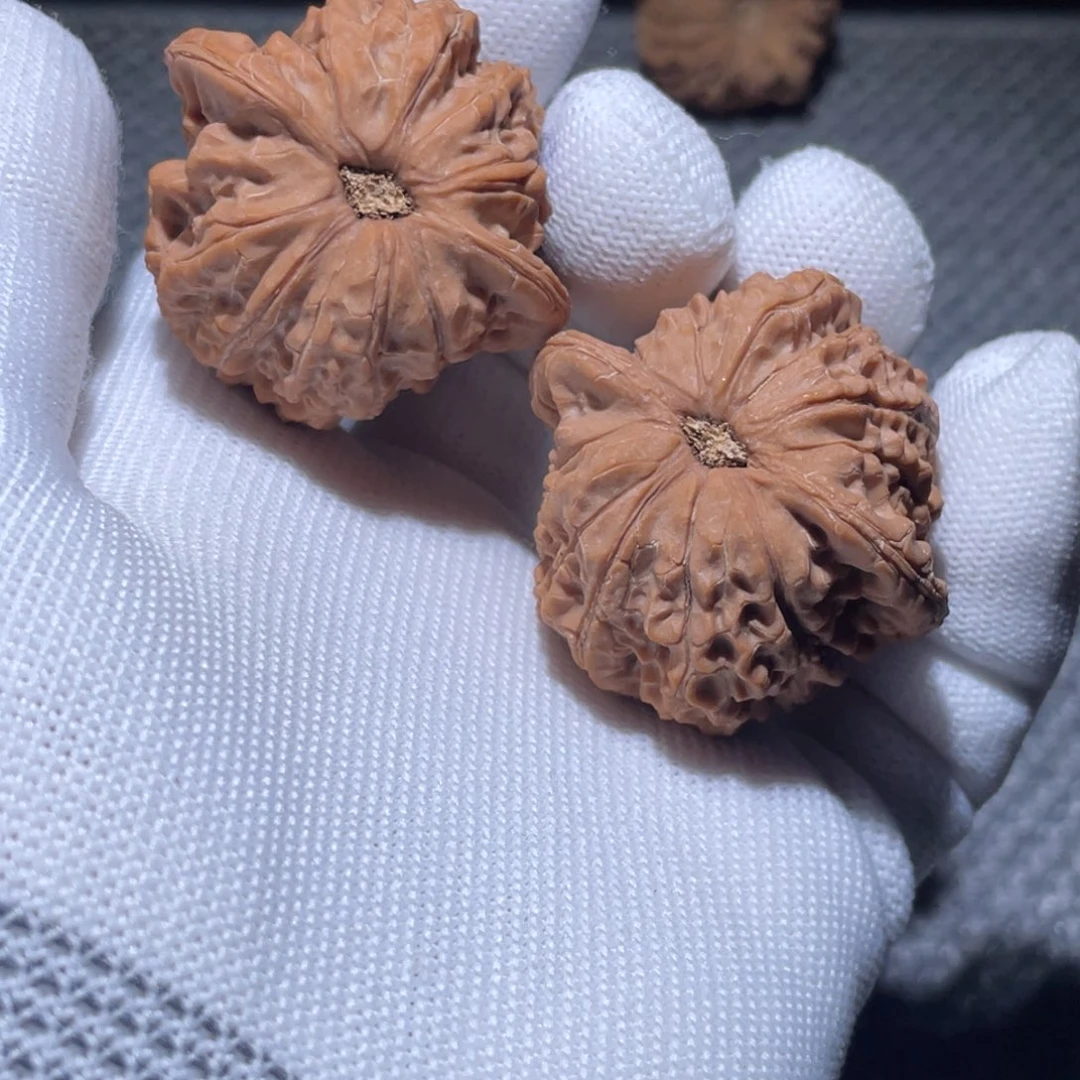 吊坠桃核41 全品血麒麟 16