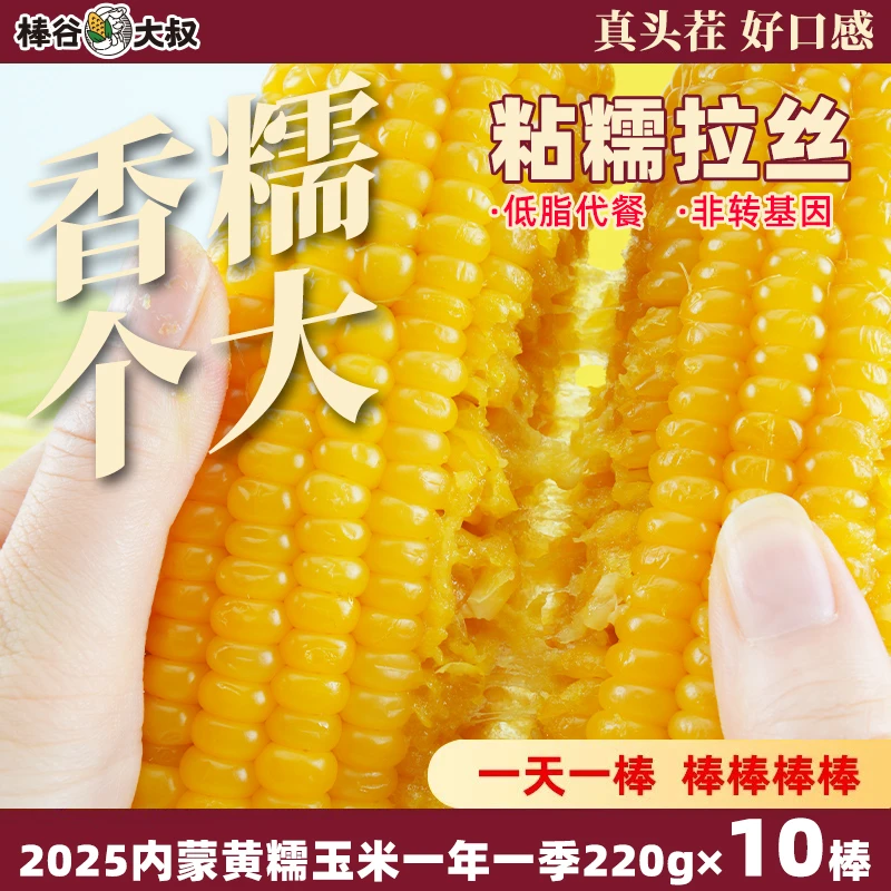 棒谷大叔2025新鲜糯玉米黏即食罐头低脂真空包装袋黑黄甜糯玉米棒