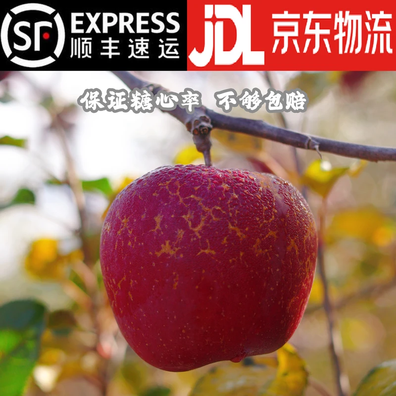 顺丰【次日达】高品质丑苹果四川大凉山盐源丑苹果新鲜丑苹果直发四川省
