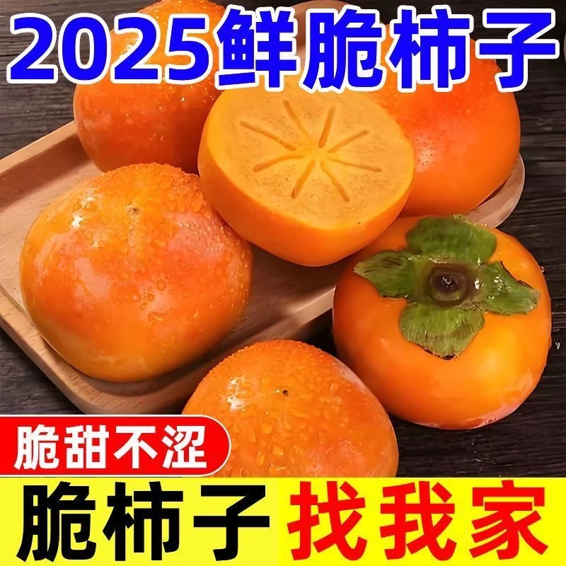 【现摘现发】山西阳丰甜脆柿子净重4.5斤现摘新鲜孕妇水果甜柿子
