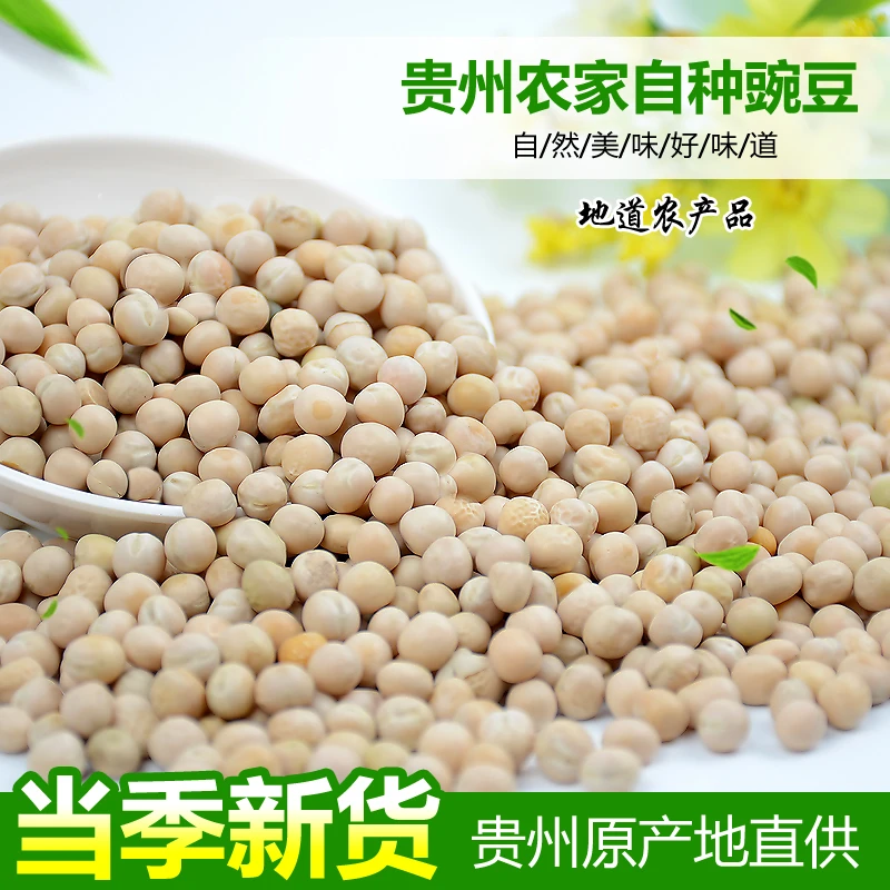 24年贵州豌豆农家精选生豌豆可发豆芽五谷杂粮干豌豆 白豌豆子