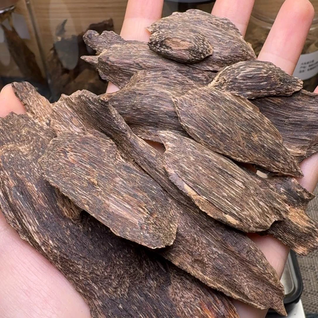 香榧木海南黎母山起泡油17克