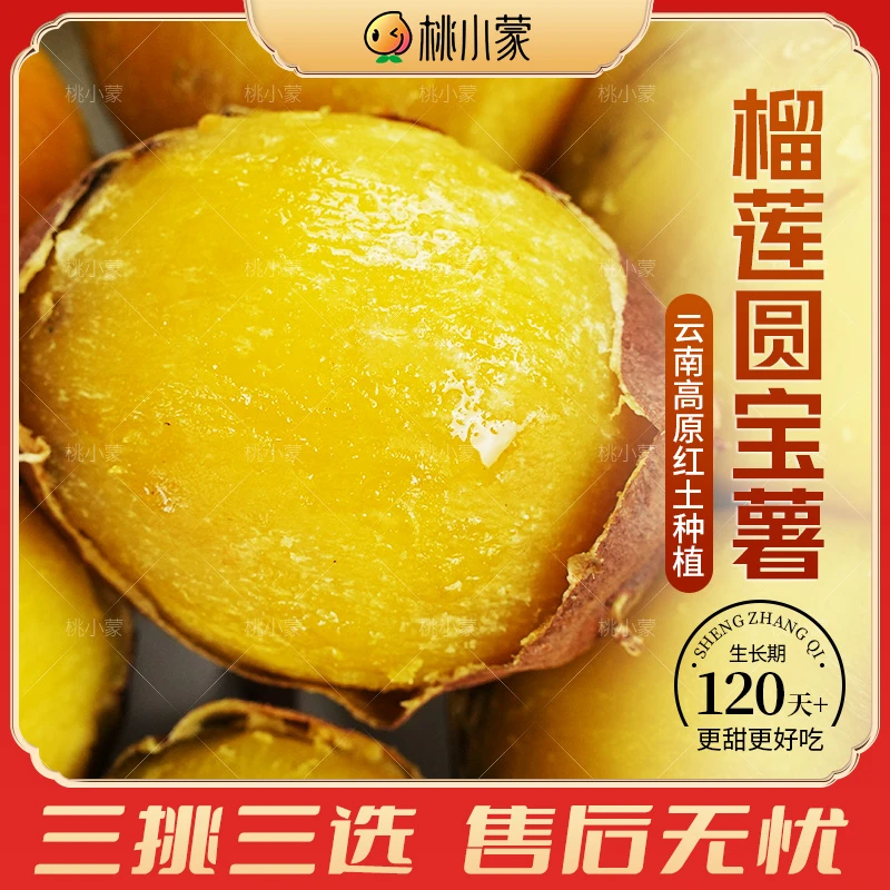 桃小蒙榴莲圆宝薯云南新鲜现挖蜜薯软糯香甜丝滑红薯地瓜番薯