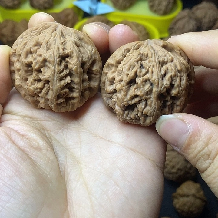 文玩核桃   大粗筋