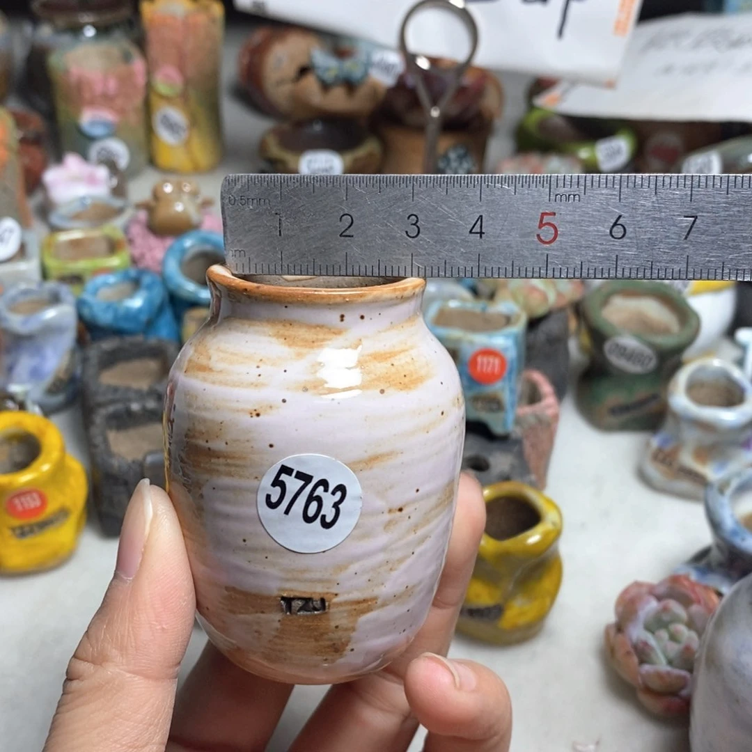 拍5送一个小礼物