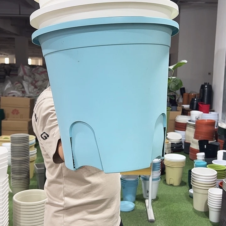 微瑕圆形控根口380口38高35混色3个无托