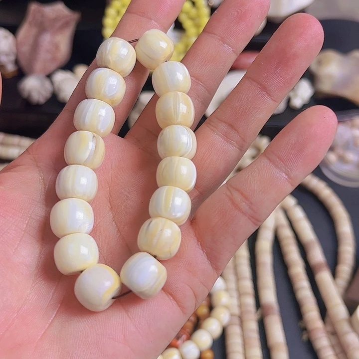 ?****1养殖骆驼牙槽牙制作单圈