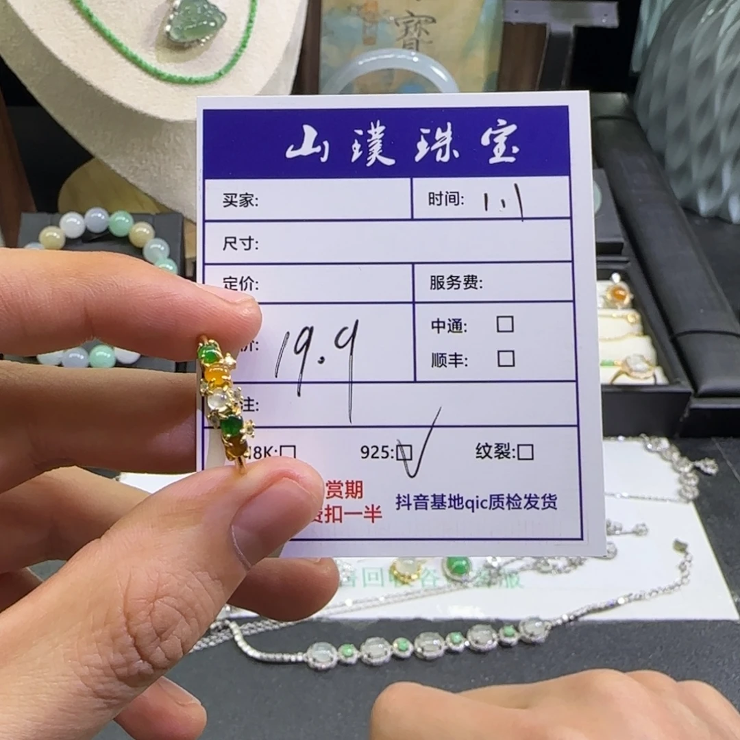 翡翠银S925镶嵌颈饰