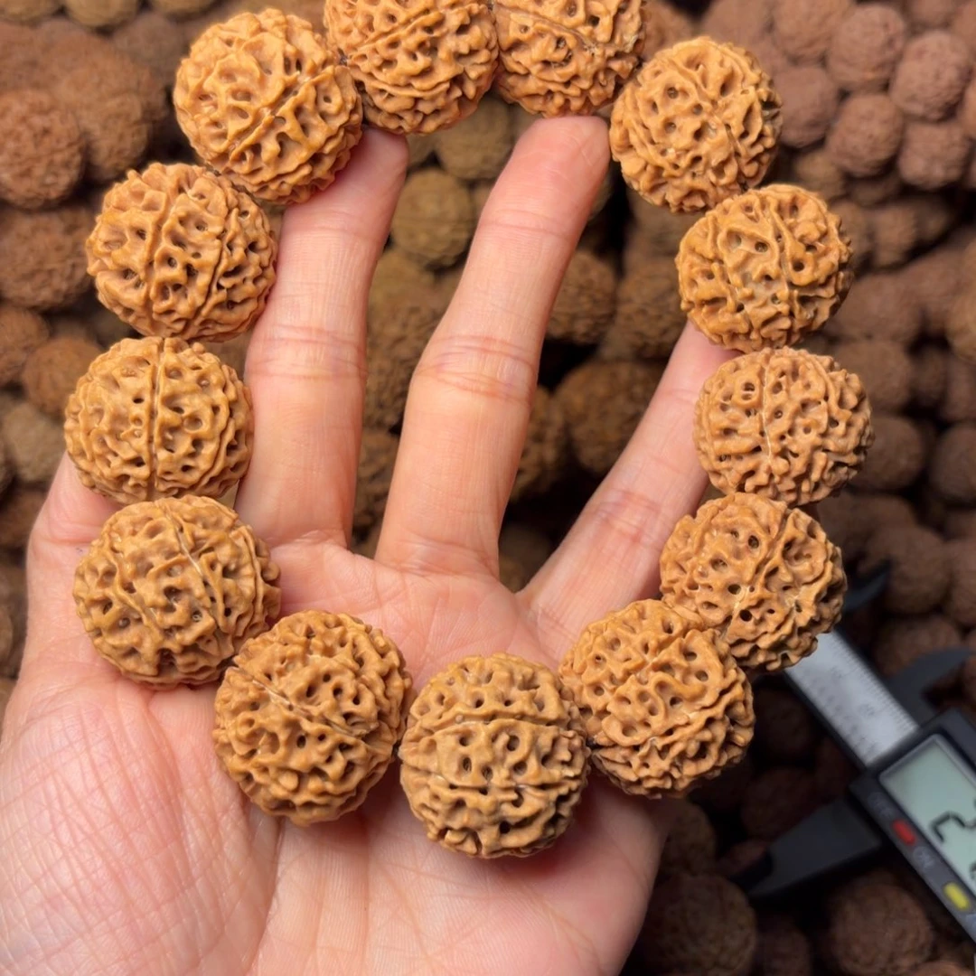 金刚菩提吊坠8瓣卡25尺长，49号