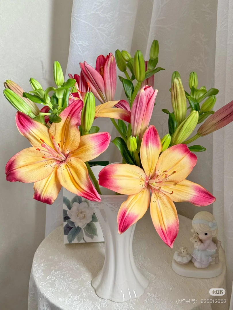 8号心弦亚百合混头微开，我要买我不售后