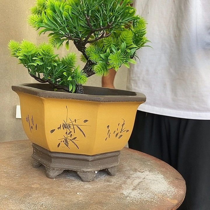 紫砂花盆27 花盆花盆花盆花盆花盆花盆花盆