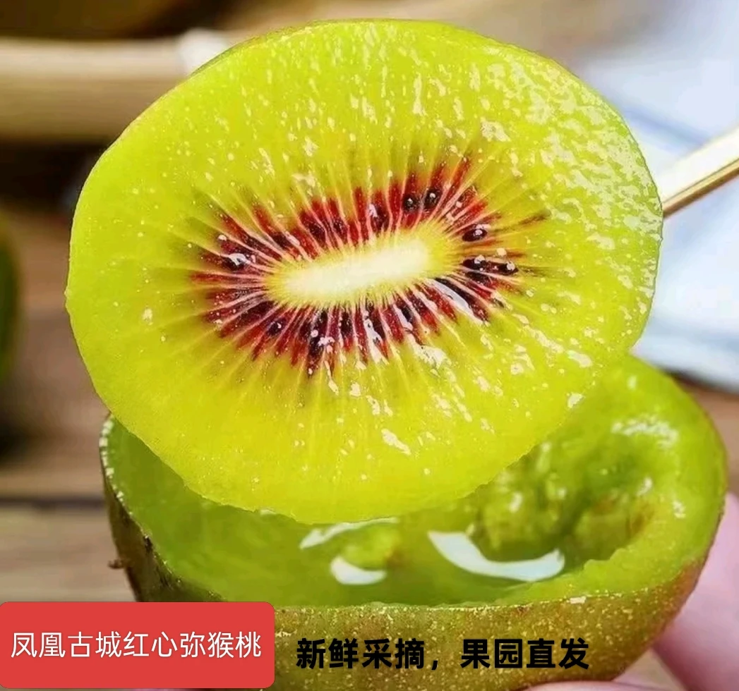 【苗阿嫂】湖南湘西红心猕猴桃当季新鲜水果奇异果香甜产地直发