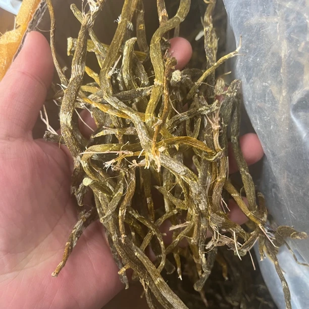 云南珍虫石斛250克起卖