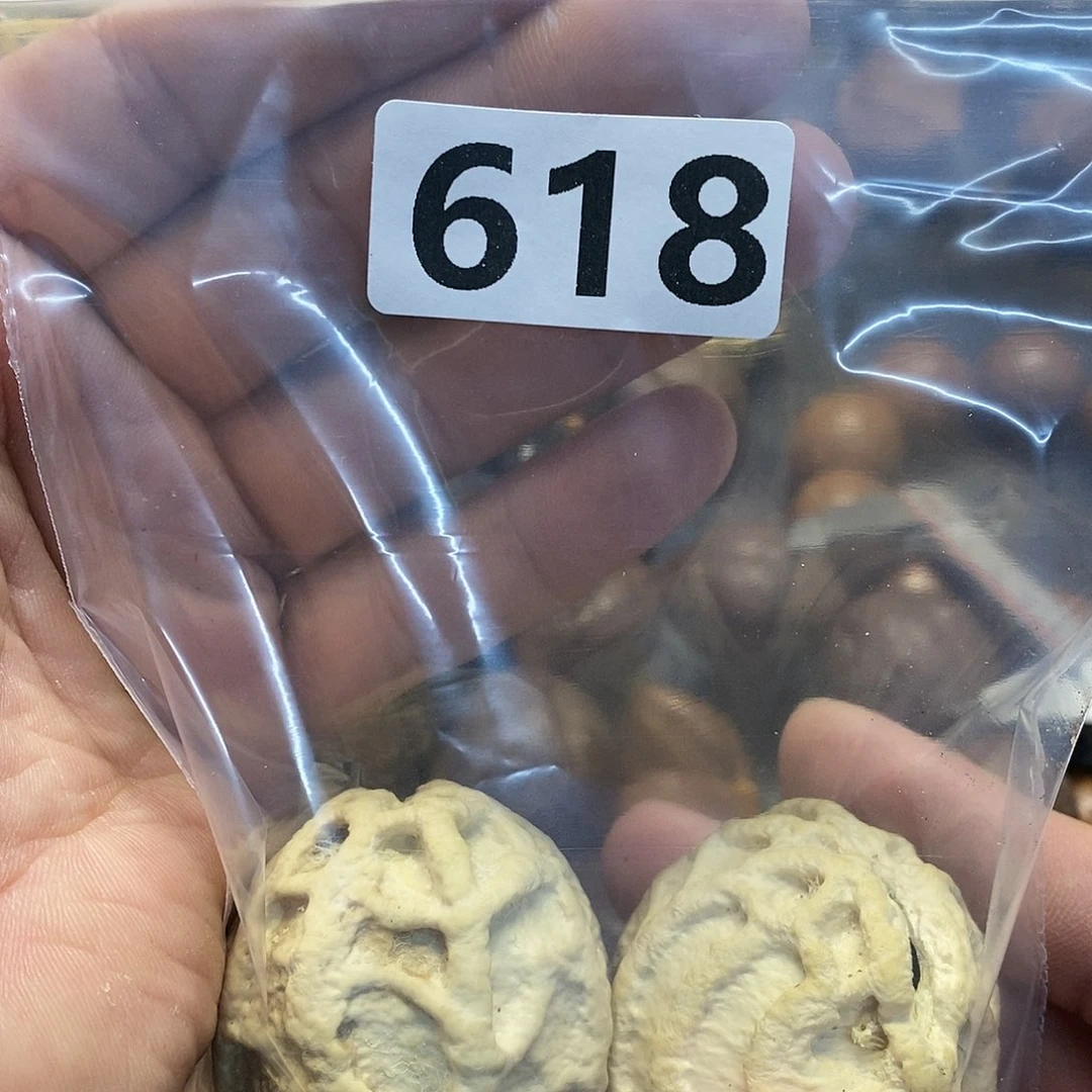 橄榄核吊坠来*文化交流