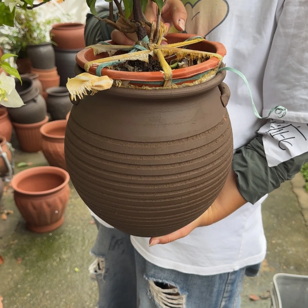 花盆紫砂口20高23宜兴紫砂