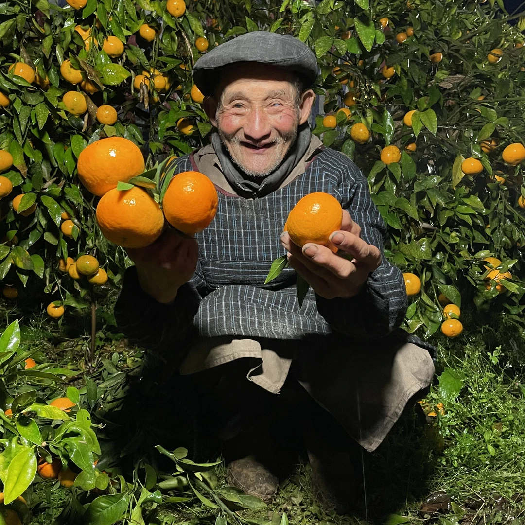 爷爷家的新鲜沃柑 高山现摘当季孕妇水果桔子 甜蜜多汁B