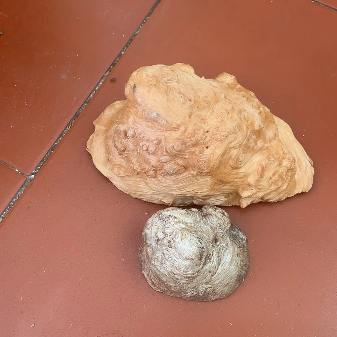 荔枝木普****叔荔枝木毛料挖洞