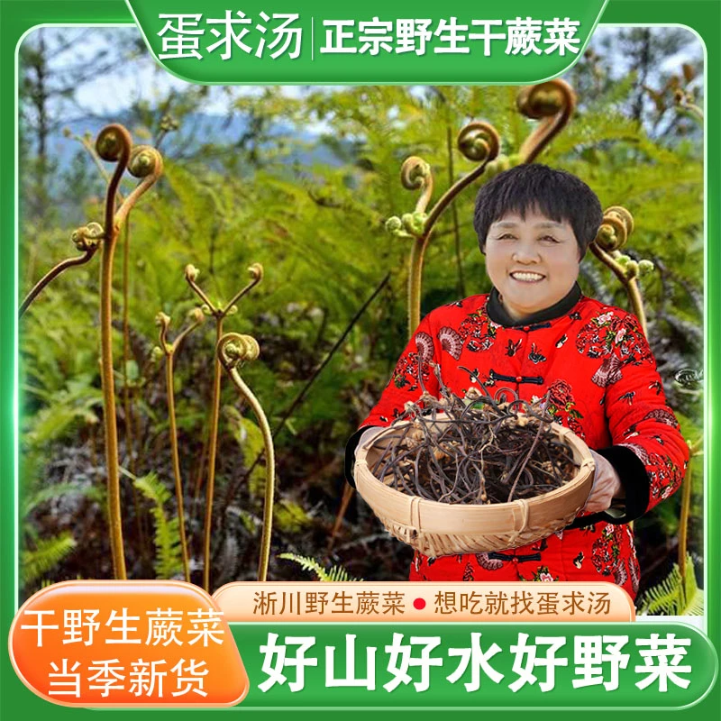 南阳淅川野生蕨菜干500g散装农家自制土特产干货厥菜龙爪菜拳菜