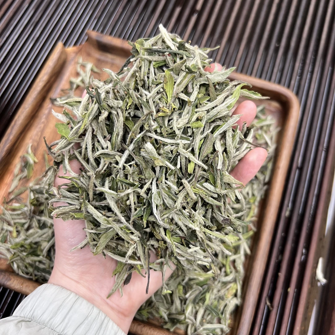 2025牡丹王 ① 小鹿收茶 福鼎白茶 5月25/2