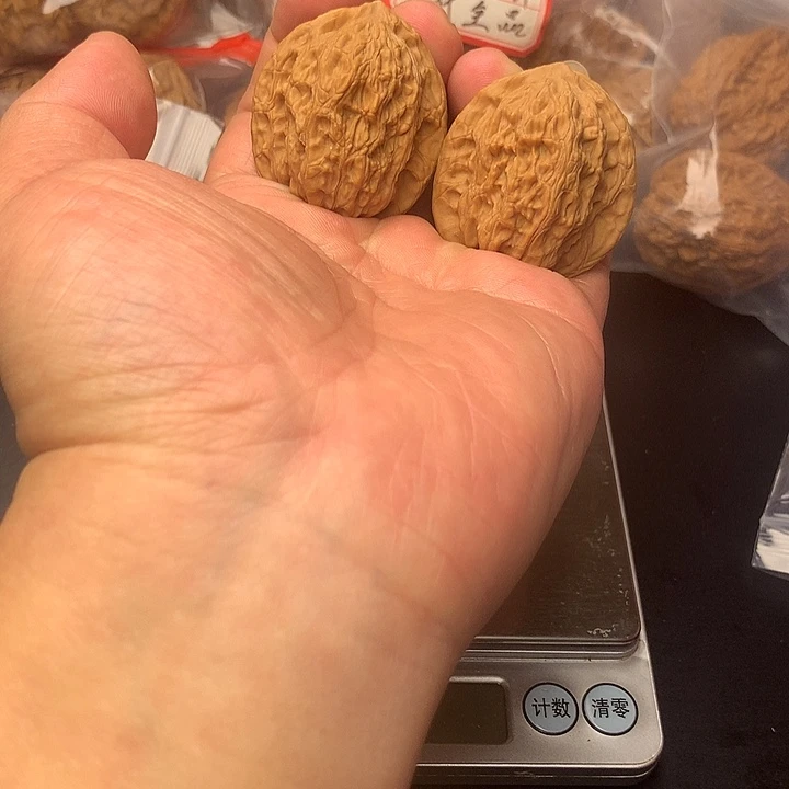 核桃京公子崔凯公子帽37+38