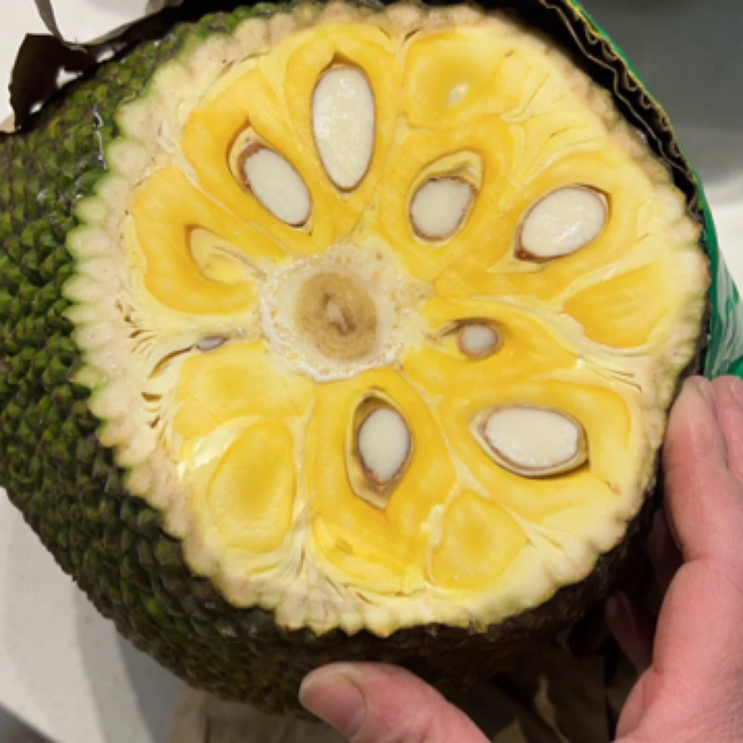 【古冶同城小时达】红肉菠萝蜜整果10斤左右，免费挖心