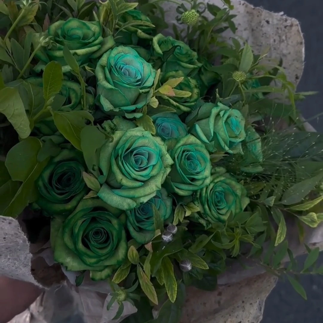 稀有品种绿玫瑰送老婆女朋友重要的人生日纪念日鲜花花束