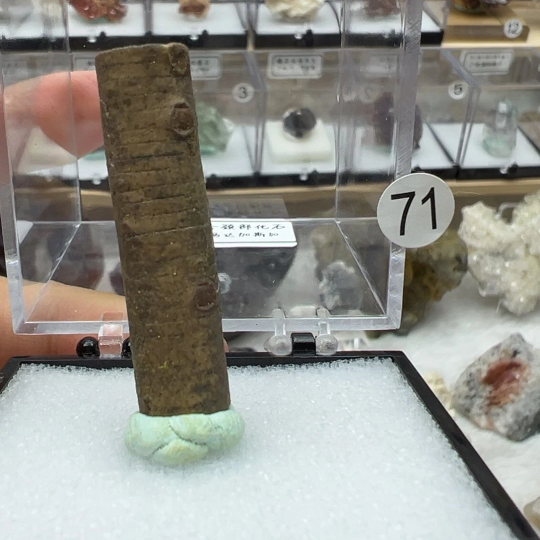 紫晶大型摆件（非配饰）银S925镶嵌